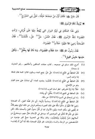 اللؤلؤ المكنون في سيرة النبي المأمون