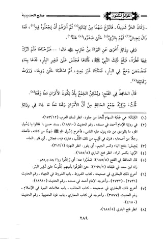 اللؤلؤ المكنون في سيرة النبي المأمون