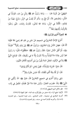 اللؤلؤ المكنون في سيرة النبي المأمون