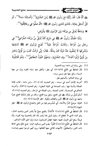 اللؤلؤ المكنون في سيرة النبي المأمون