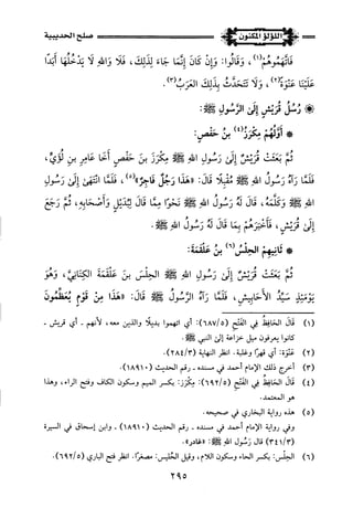 اللؤلؤ المكنون في سيرة النبي المأمون