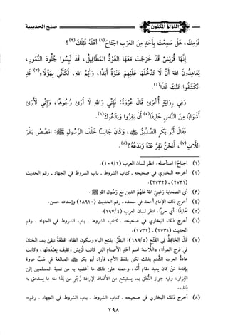 اللؤلؤ المكنون في سيرة النبي المأمون