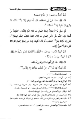 اللؤلؤ المكنون في سيرة النبي المأمون