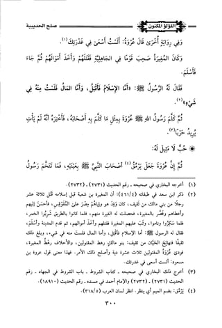 اللؤلؤ المكنون في سيرة النبي المأمون