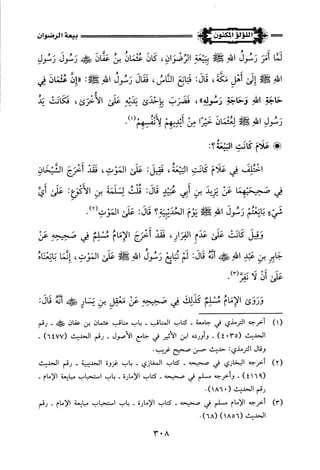 اللؤلؤ المكنون في سيرة النبي المأمون