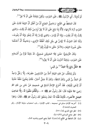 اللؤلؤ المكنون في سيرة النبي المأمون