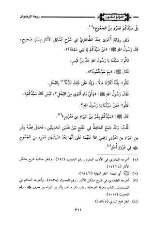 اللؤلؤ المكنون في سيرة النبي المأمون