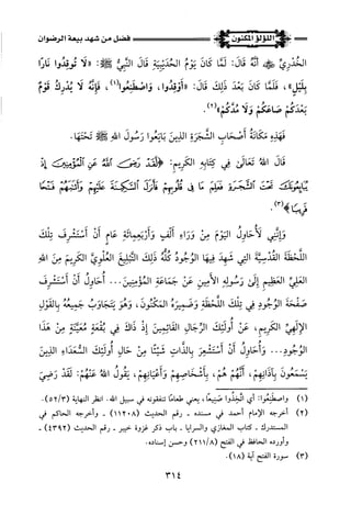 اللؤلؤ المكنون في سيرة النبي المأمون