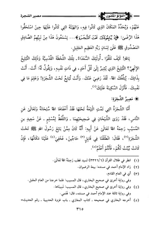 اللؤلؤ المكنون في سيرة النبي المأمون