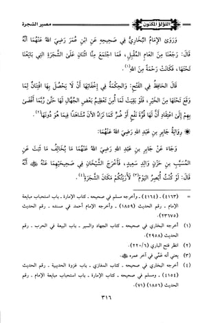 اللؤلؤ المكنون في سيرة النبي المأمون