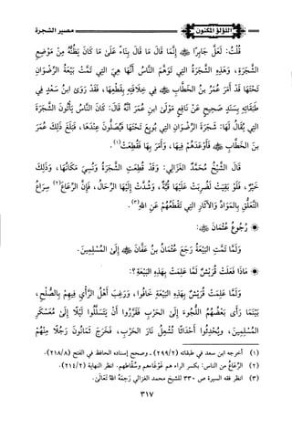 اللؤلؤ المكنون في سيرة النبي المأمون