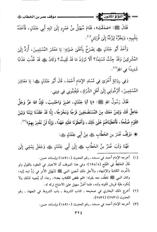 اللؤلؤ المكنون في سيرة النبي المأمون