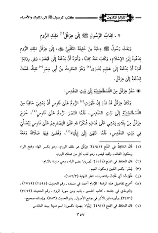 اللؤلؤ المكنون في سيرة النبي المأمون