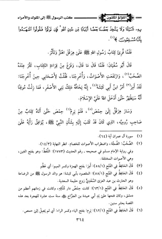 اللؤلؤ المكنون في سيرة النبي المأمون