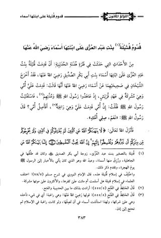 اللؤلؤ المكنون في سيرة النبي المأمون