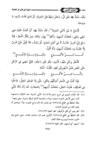 اللؤلؤ المكنون في سيرة النبي المأمون