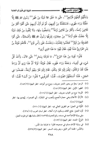 اللؤلؤ المكنون في سيرة النبي المأمون