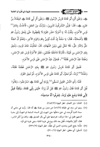 اللؤلؤ المكنون في سيرة النبي المأمون