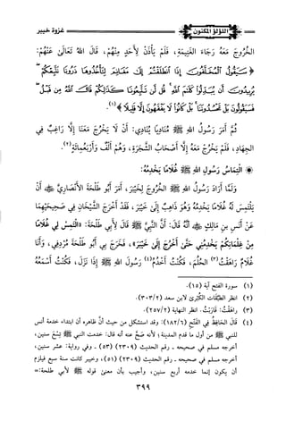 اللؤلؤ المكنون في سيرة النبي المأمون