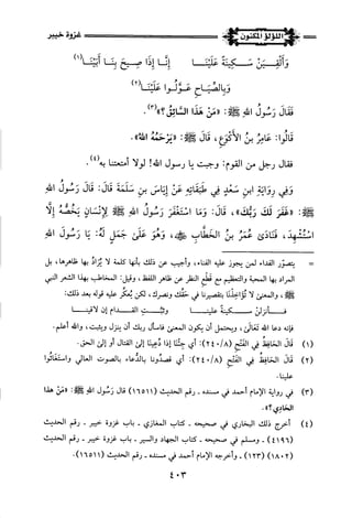 اللؤلؤ المكنون في سيرة النبي المأمون