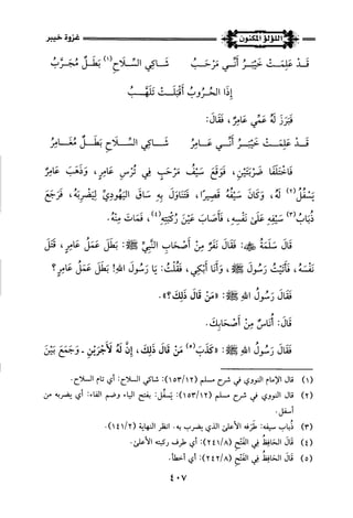 اللؤلؤ المكنون في سيرة النبي المأمون