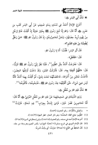 اللؤلؤ المكنون في سيرة النبي المأمون