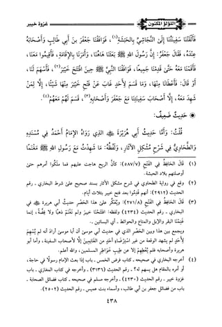 اللؤلؤ المكنون في سيرة النبي المأمون