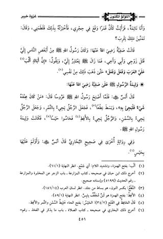 اللؤلؤ المكنون في سيرة النبي المأمون