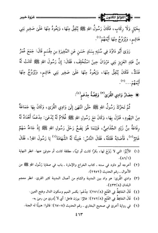 اللؤلؤ المكنون في سيرة النبي المأمون