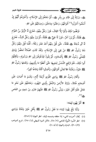 اللؤلؤ المكنون في سيرة النبي المأمون