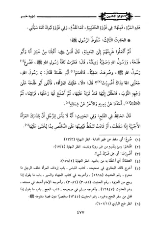 اللؤلؤ المكنون في سيرة النبي المأمون