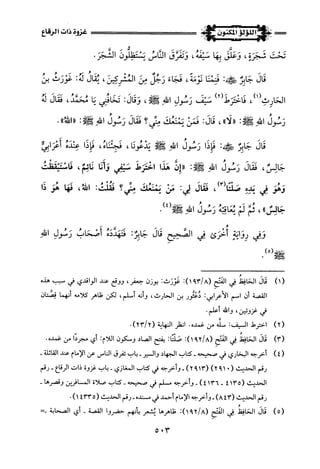 اللؤلؤ المكنون في سيرة النبي المأمون