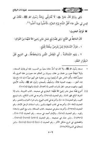 اللؤلؤ المكنون في سيرة النبي المأمون