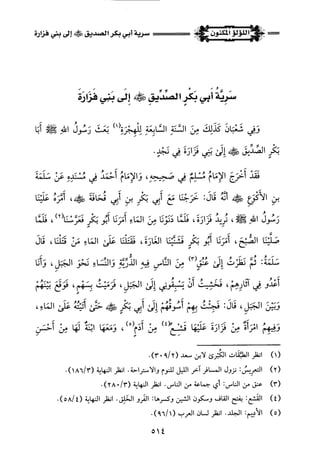 اللؤلؤ المكنون في سيرة النبي المأمون