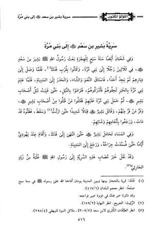 اللؤلؤ المكنون في سيرة النبي المأمون