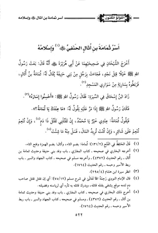 اللؤلؤ المكنون في سيرة النبي المأمون