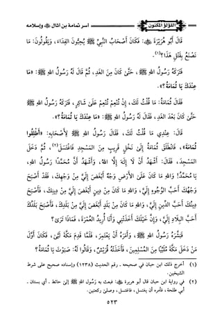 اللؤلؤ المكنون في سيرة النبي المأمون