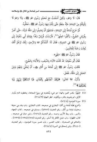 اللؤلؤ المكنون في سيرة النبي المأمون