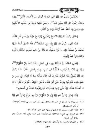 اللؤلؤ المكنون في سيرة النبي المأمون