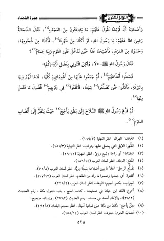 اللؤلؤ المكنون في سيرة النبي المأمون