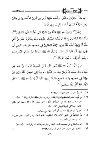 اللؤلؤ المكنون في سيرة النبي المأمون