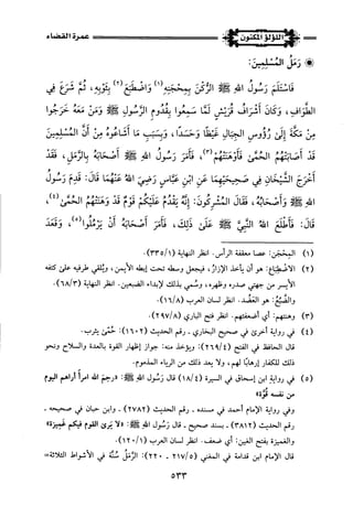 اللؤلؤ المكنون في سيرة النبي المأمون