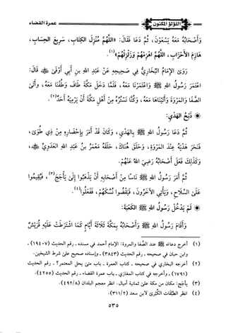 اللؤلؤ المكنون في سيرة النبي المأمون