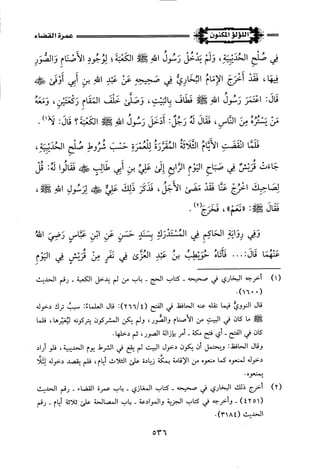 اللؤلؤ المكنون في سيرة النبي المأمون