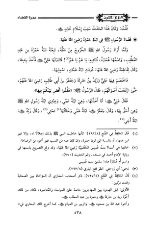 اللؤلؤ المكنون في سيرة النبي المأمون