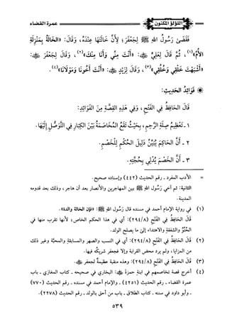 اللؤلؤ المكنون في سيرة النبي المأمون