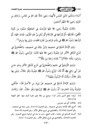 اللؤلؤ المكنون في سيرة النبي المأمون