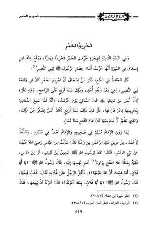 اللؤلؤ المكنون في سيرة النبي المأمون