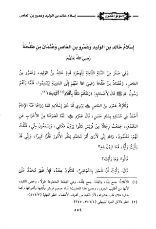 اللؤلؤ المكنون في سيرة النبي المأمون