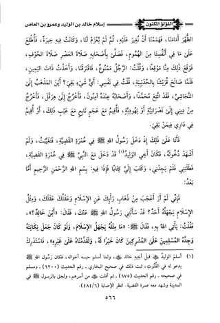 اللؤلؤ المكنون في سيرة النبي المأمون